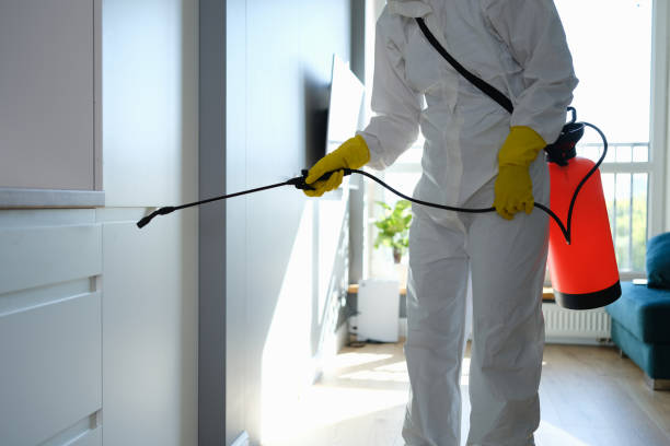 Indoor Pest Control in Seatac, WA